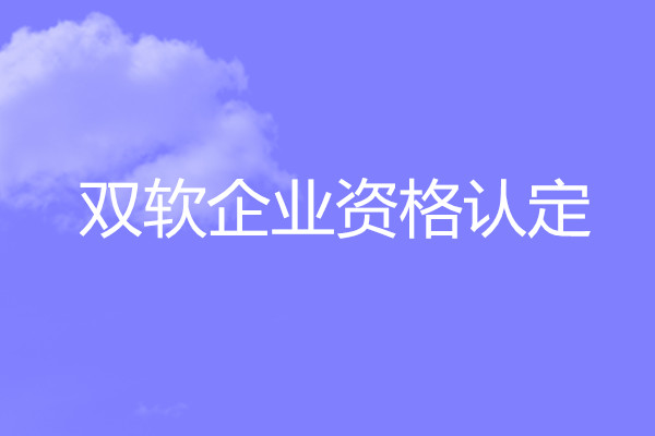 雙軟企業(yè)