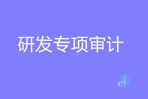研發專項審計(jì)
