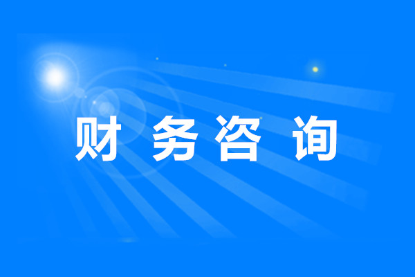 财  務 咨  詢